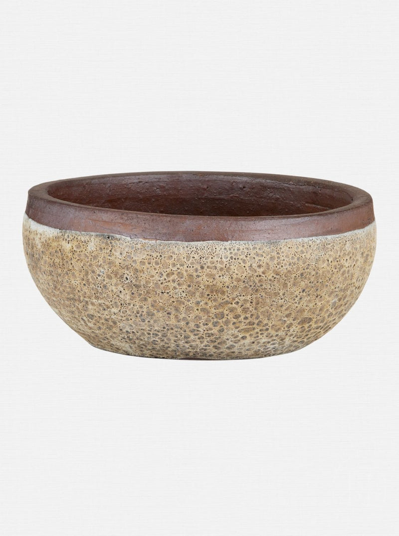 Jacie Planter