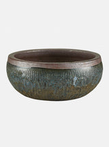 Jacie Planter