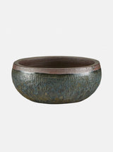 Jacie Planter