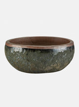 Jacie Planter