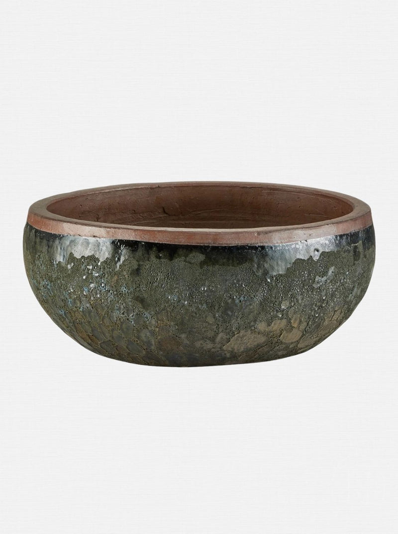 Jacie Planter