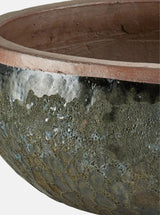 Jacie Planter
