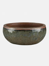 Jacie Planter