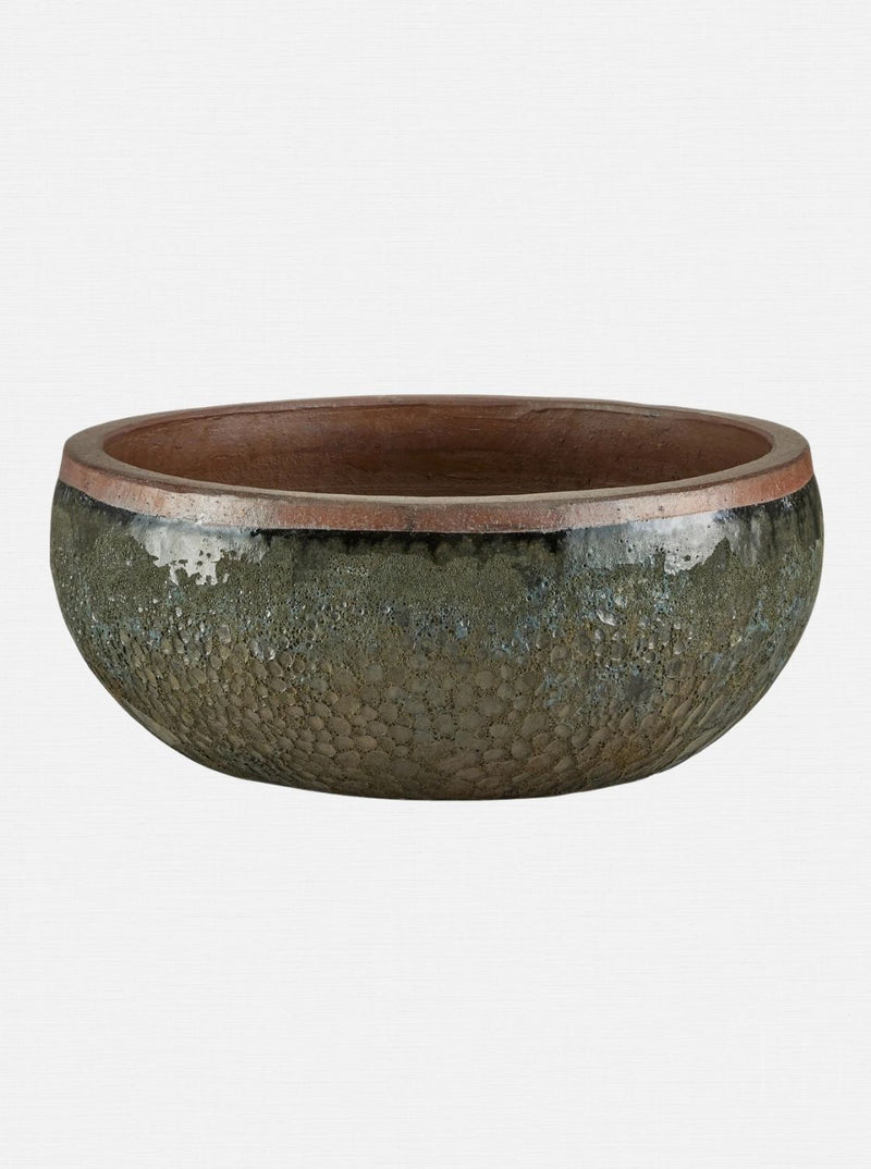 Jacie Planter