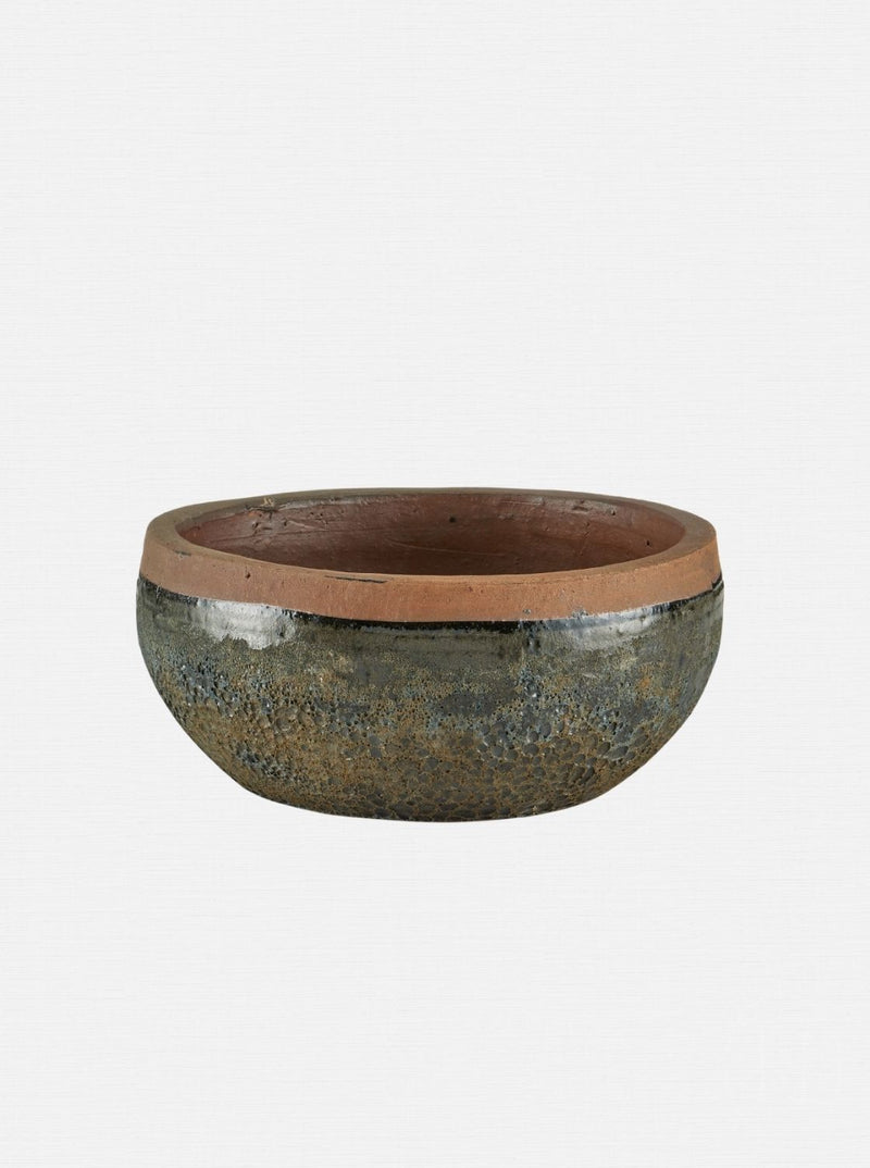 Jacie Planter