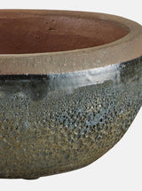 Jacie Planter