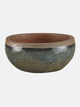 Jacie Planter