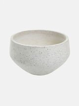 Leda Pot