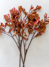 Faux Red Oak Stem