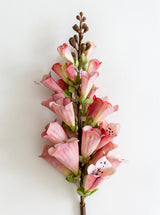 Faux Foxglove Stem