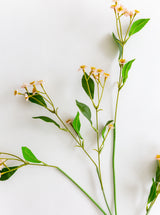 Faux Chamomile Stem