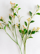 Faux Chamomile Stem