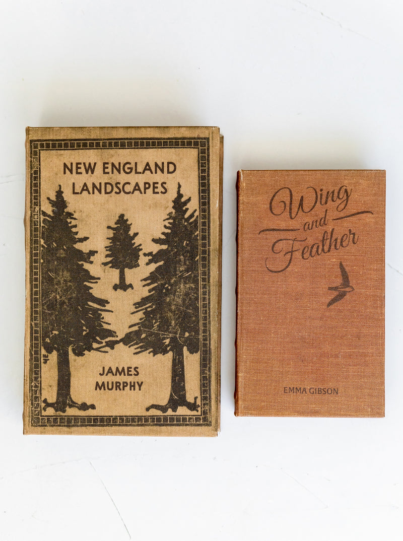 Landscapes Book Box | Set of 2
