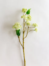 Faux Snowball Stem