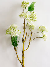 Faux Snowball Stem