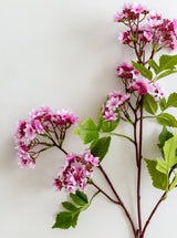 Faux Bouvardia Stem