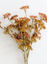 Faux Meadow Sedge Bunch