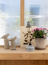 Concrete Birds | Set of 2