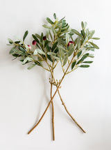 Faux White Cedar Sprig
