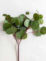 Faux Eucalyptus Leaf Stem