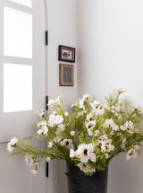 French Wildflowers