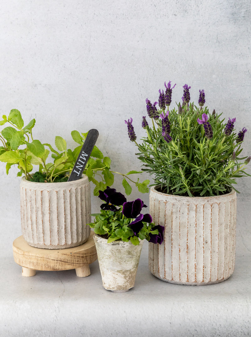 Fluted Pots | Set of 2