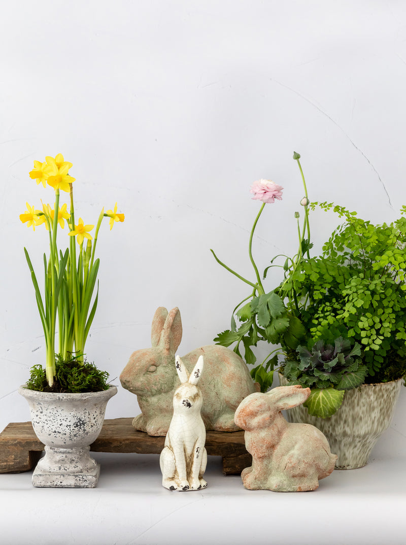 Antique Rabbit – House of Jade Home