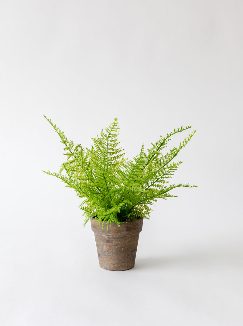 Faux Paper Mache Potted Fern