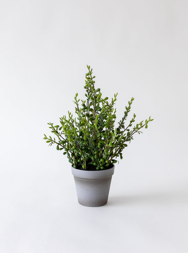 Faux Potted Pearl Plant