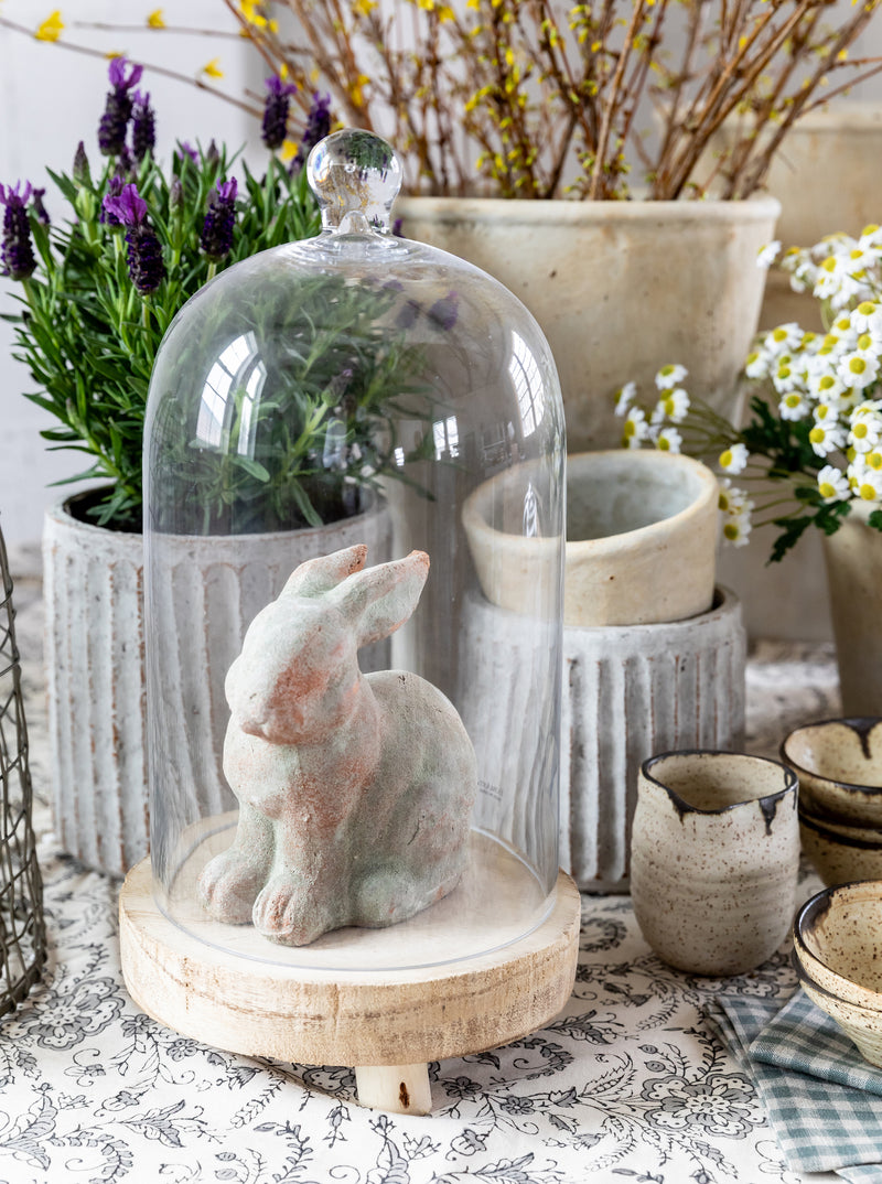 Aria Cloche