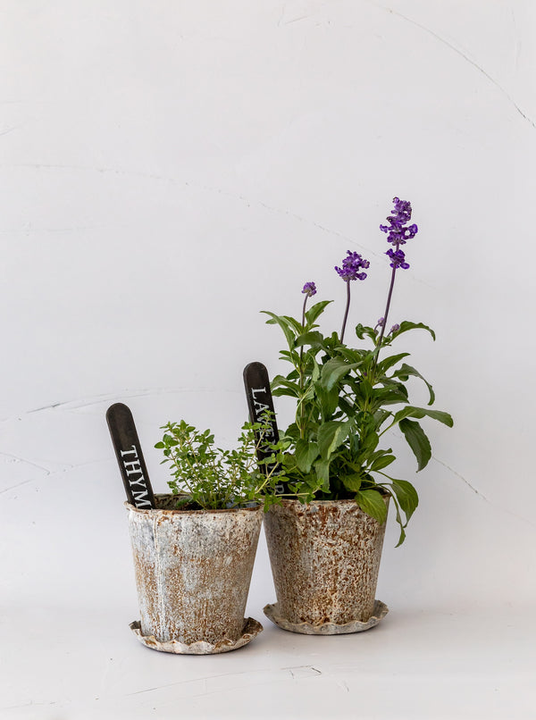 Metal Planter & Saucer