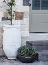 Jacie Planter