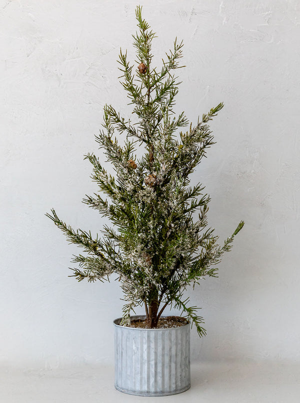 Faux Mountain Pine Tree