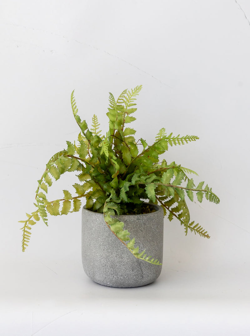 Faux Cement Potted Fern