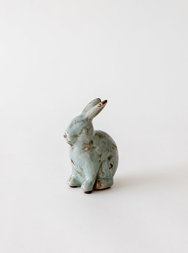 Distressed Rabbit