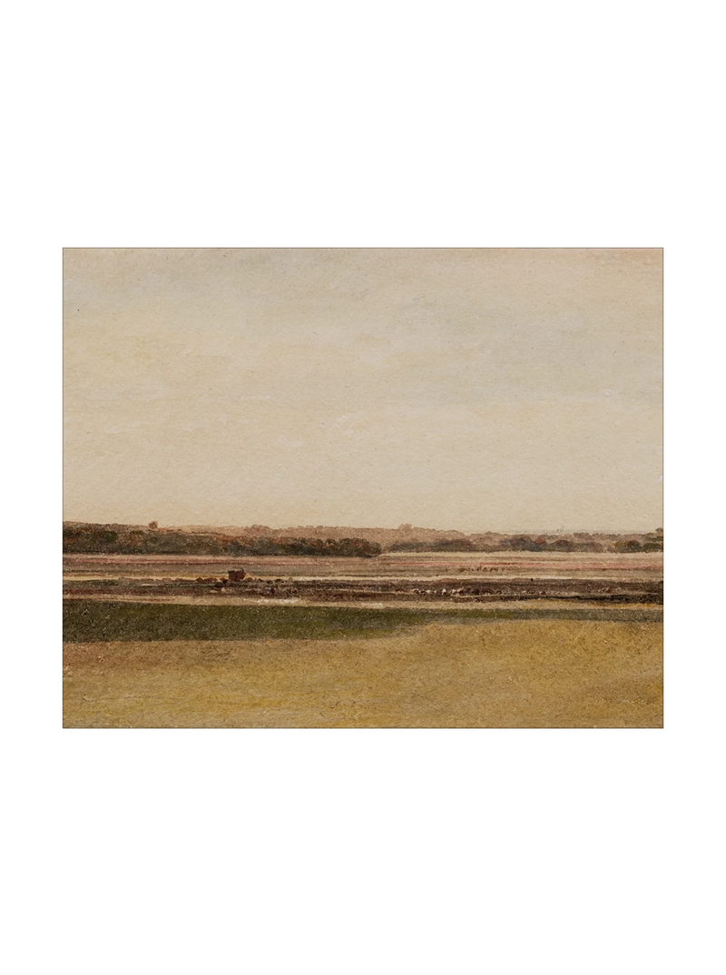 Meadow