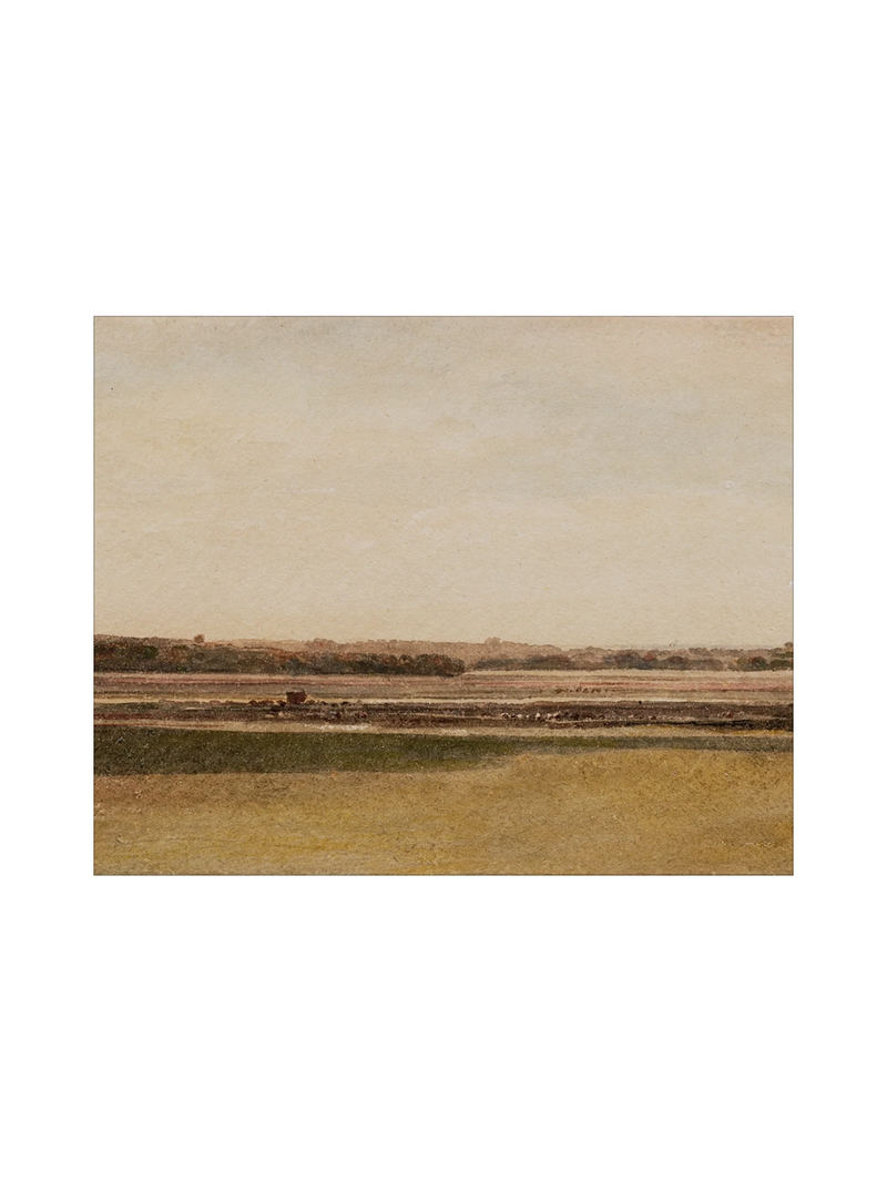 Meadow