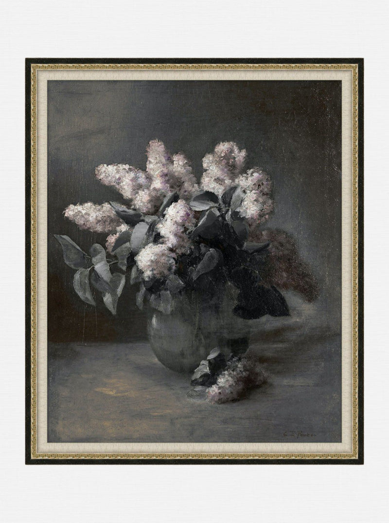 Midnight Lilacs