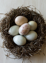 Thumbnail for picture #3