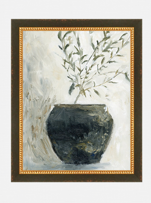 Olive Tree