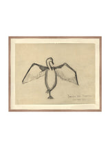 Sea Raven Sketch