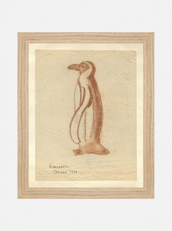 Penguin Sketch