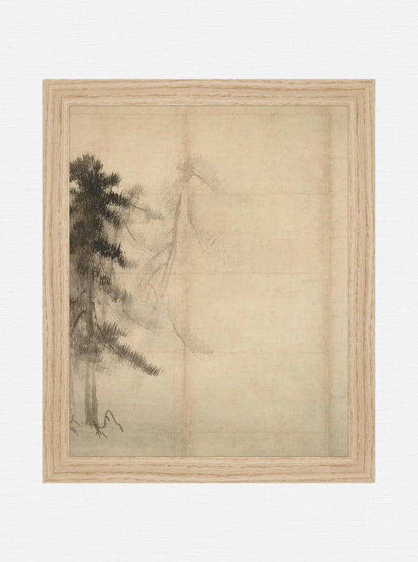 Pine Trees II