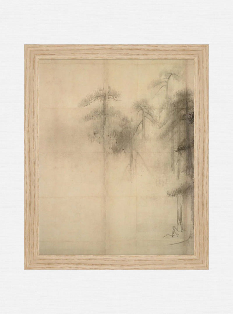 Pine Trees I