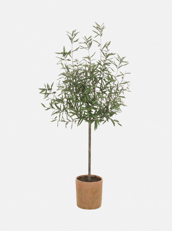 Potted 70" Faux Olive Tree