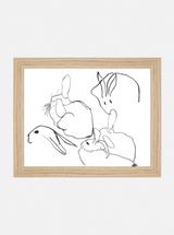 Rabbit Study