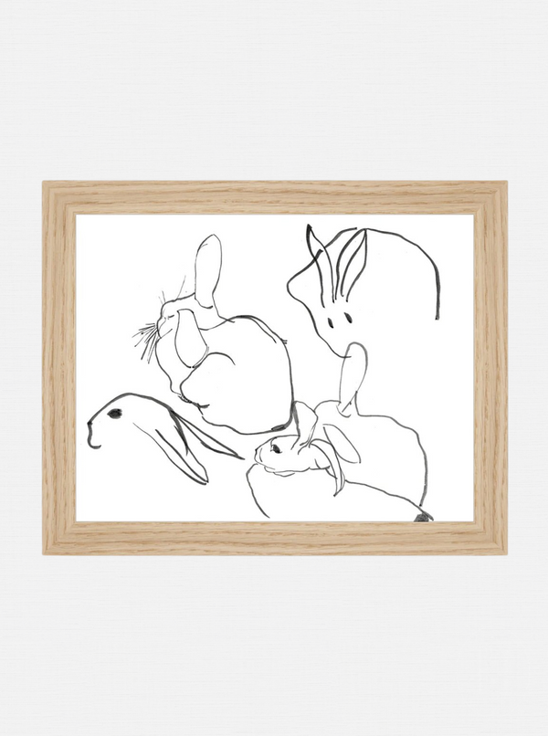 Rabbit Study