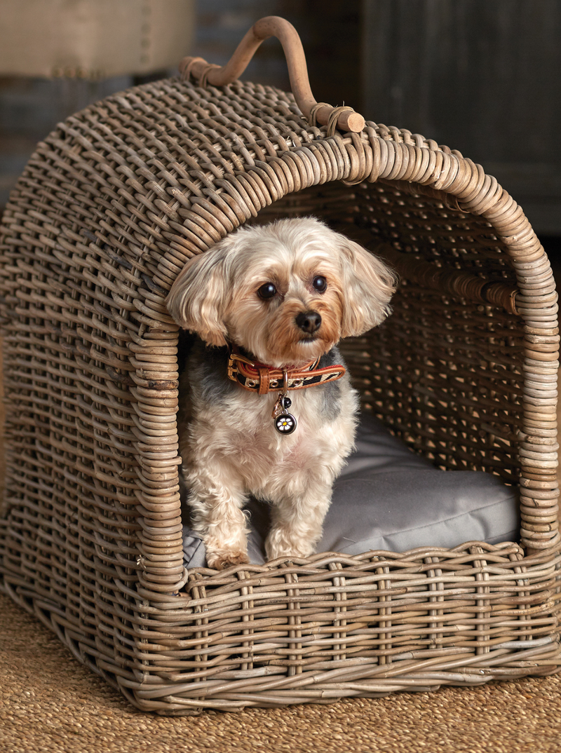 Rattan Canopy Pet Bed