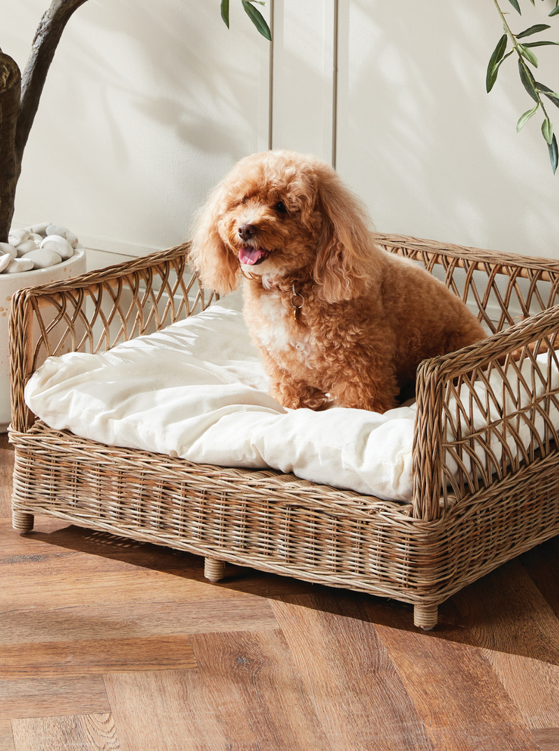 Rattan Pet Bed