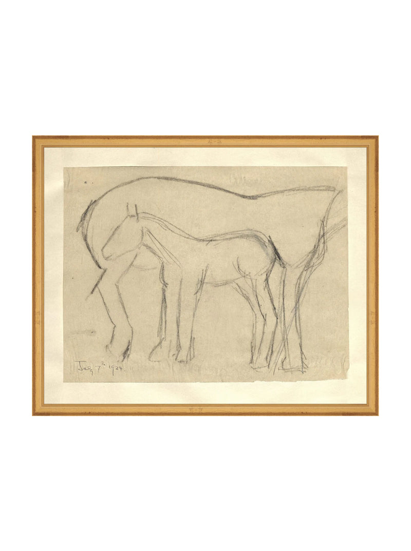 Foal Sketch